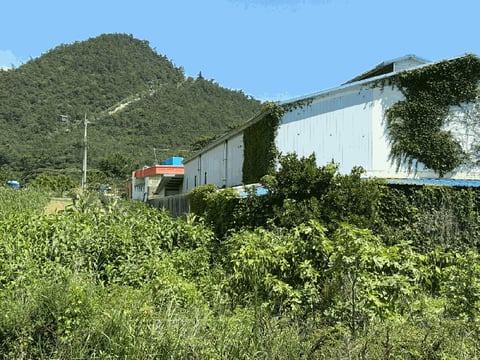물건 사진 14