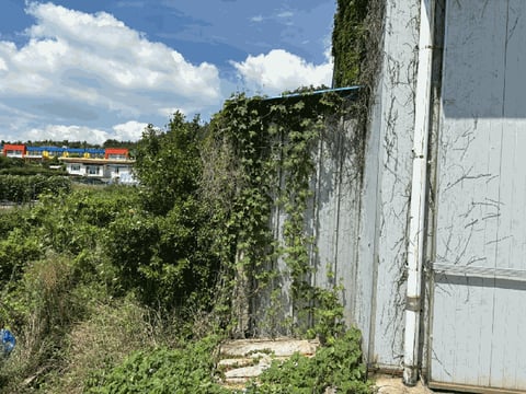 물건 사진 30