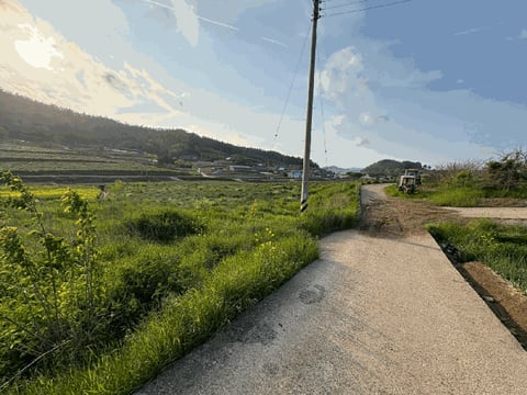 물건 사진 7