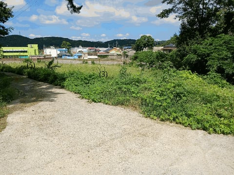 물건 사진 17
