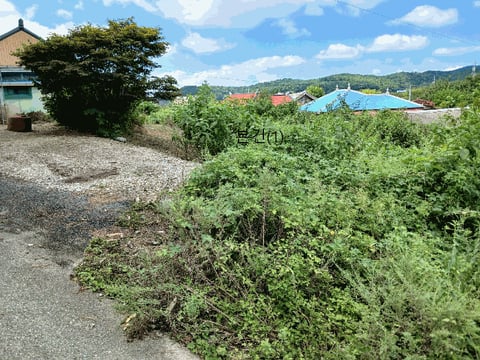 물건 사진 7