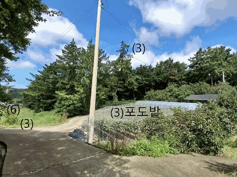 물건 사진 10