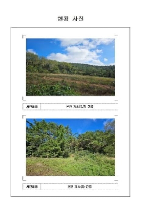 물건 사진 3