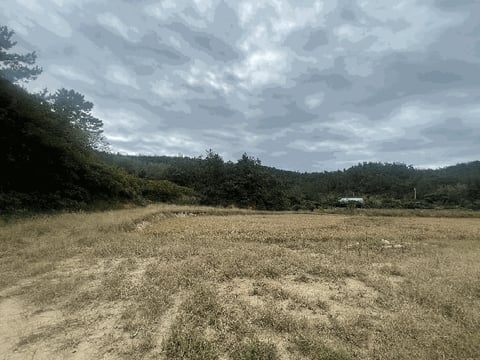 물건 사진 6