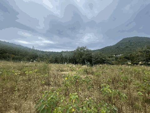 물건 사진 9