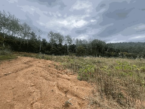 물건 사진 10