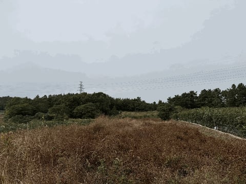 물건 사진 4
