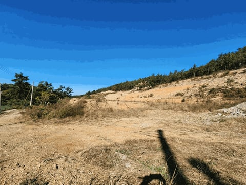 물건 사진 20