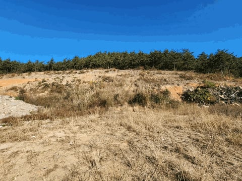 물건 사진 23