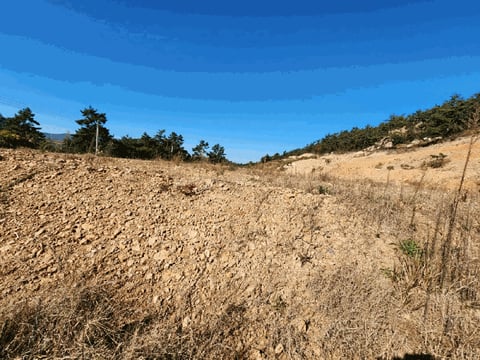 물건 사진 26