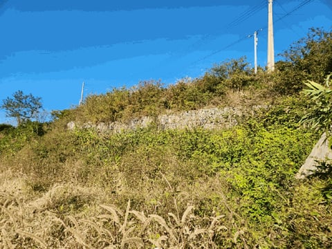 물건 사진 24