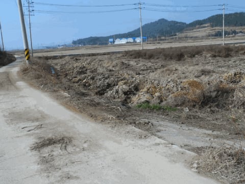 물건 사진 12