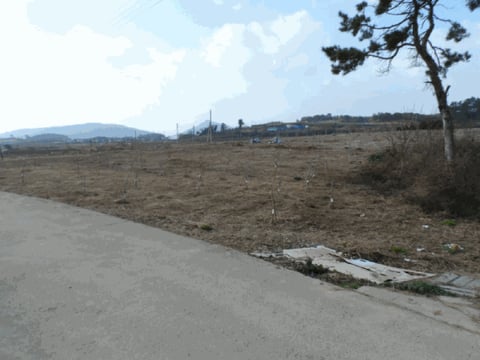물건 사진 14