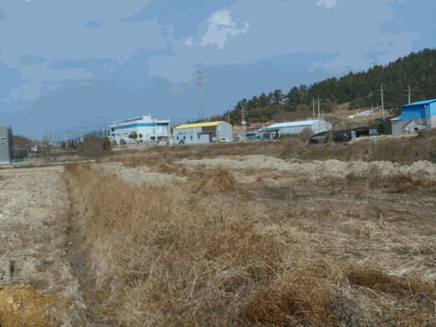 물건 사진 16