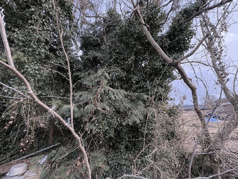 물건 사진 11
