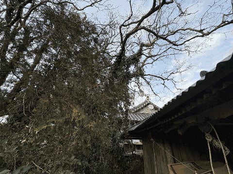 물건 사진 15