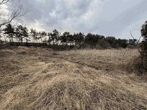 물건 사진 8