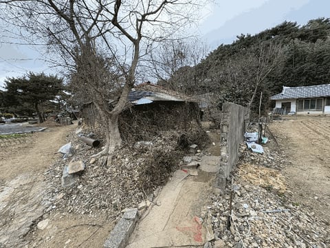 물건 사진 16