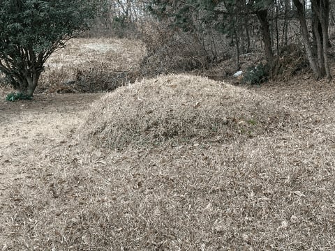 물건 사진 21