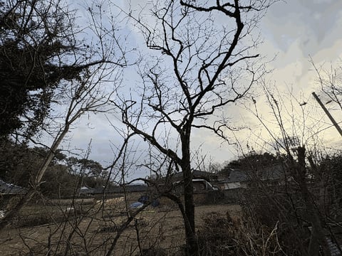 물건 사진 22