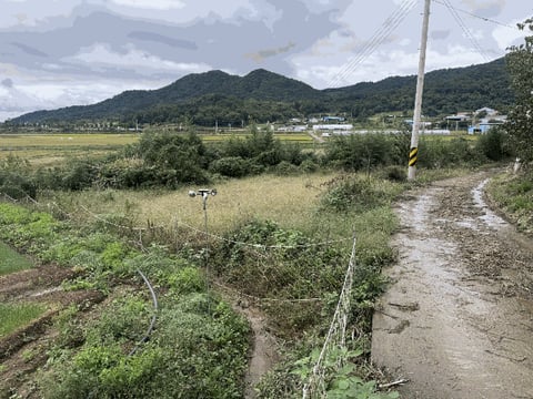 물건 사진 6