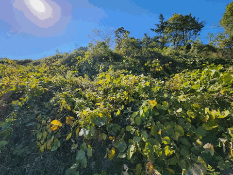 물건 사진 8