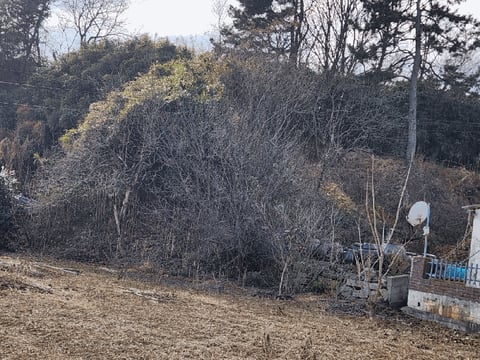 물건 사진 12