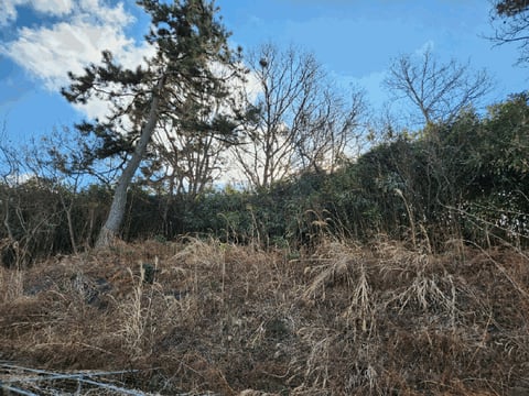 물건 사진 14