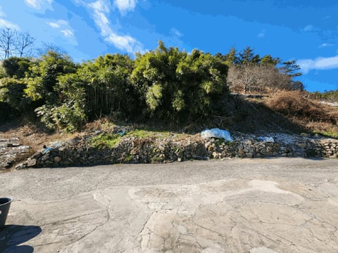 물건 사진 15