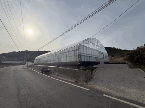 물건 사진 17