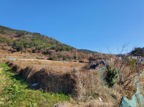 물건 사진 14
