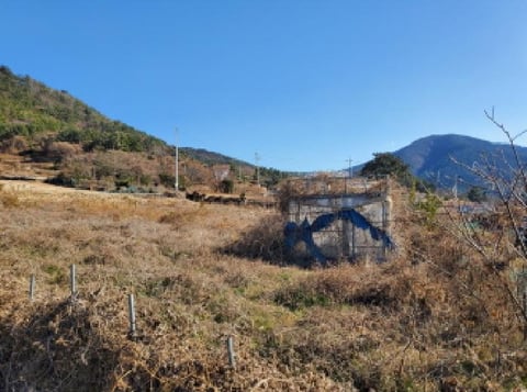 물건 사진 15