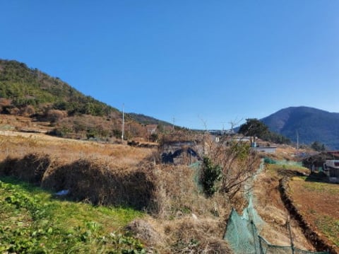 물건 사진 16