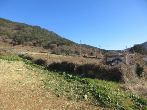 물건 사진 27