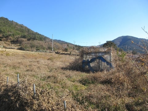 물건 사진 28
