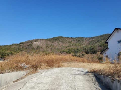 물건 사진 5