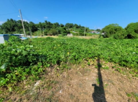 물건 사진 21