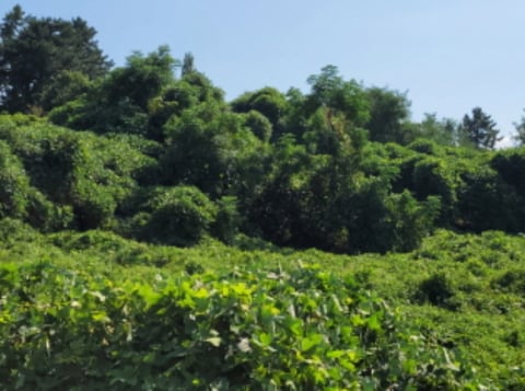 물건 사진 24