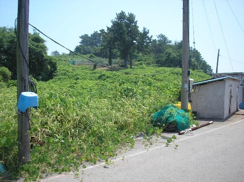물건 사진 36