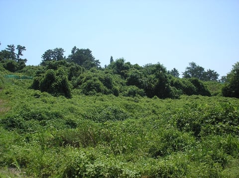 물건 사진 37