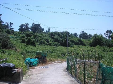 물건 사진 47