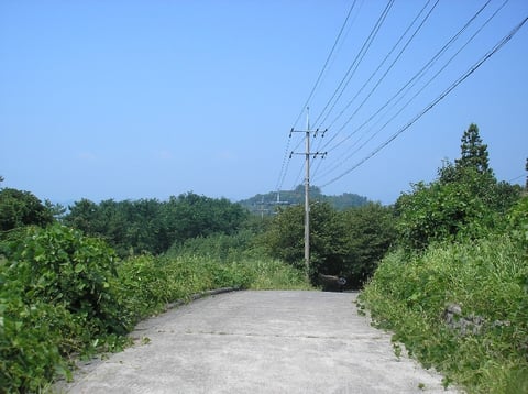 물건 사진 48