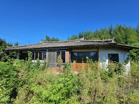 물건 사진 30