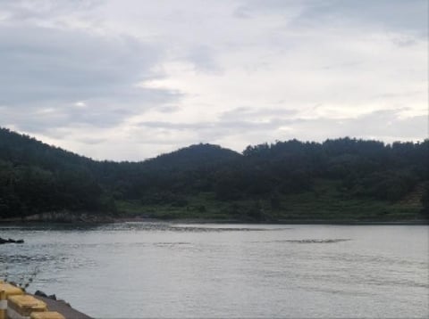 물건 사진 1