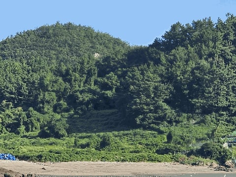 물건 사진 11