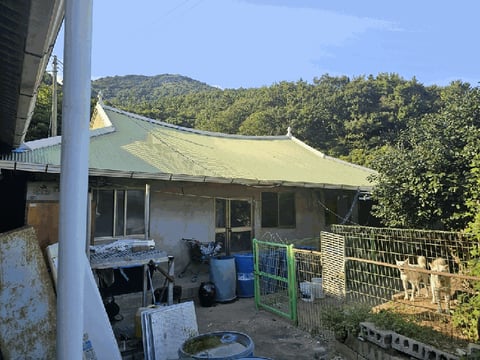물건 사진 14
