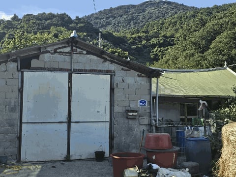 물건 사진 15