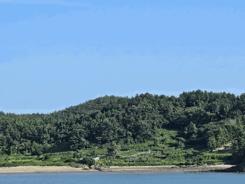 물건 사진 7