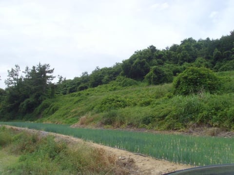 물건 사진 2