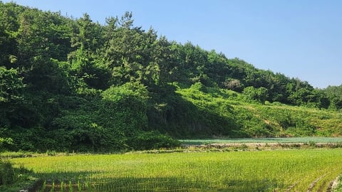 물건 사진 11